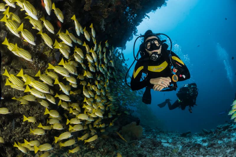 Crystal-clear waters of Andaman beach